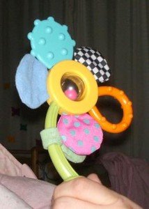 2010-02-07 - Flower Rattle 2010-02-07 - Flower Rattle