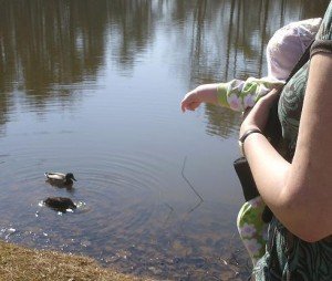 2010-03-08 - Katie  And The Ducks