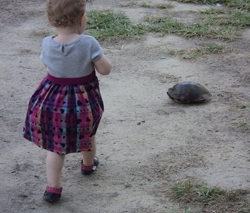 2011-05-28 - Katie Eyes A Turtle 2011-05-28 - Katie Eyes A Turtle