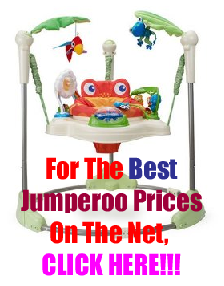 Fisher Price Rainforest Jumperoo Fisher Price Rainforest Jumperoo