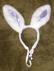 2010-04-04 - Rabbit Ears