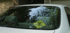 2010-04-12 - Baby On Board