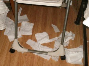 2010-09-19 - Paper Chase