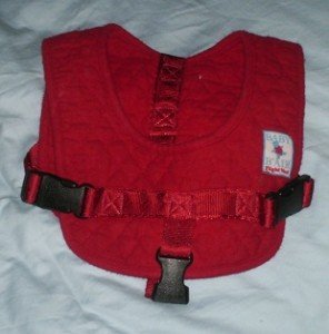 2010-09-30 - Flight Vest