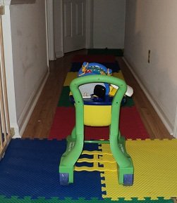 2011-02-14 - The Shopping Cart