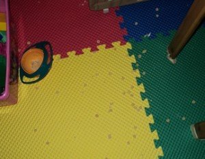 2011-04-07 - Floor Cheerios