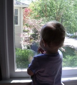 2011-04-13 - The Neighbor's Cat