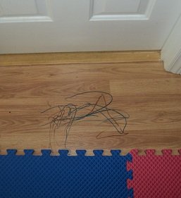 2011-07-06 - Floor Crayons