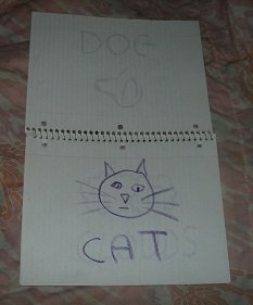 2011-07-20 - Scribbler Flash Cards