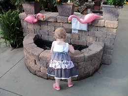2011-07-21 - Lowe's Waterfall