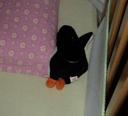 2011-07-31 - Penguin Doll