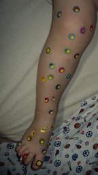 2011-09-26 - Sticker Legs