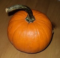2011-10-07 - Katie's First Pumpkin