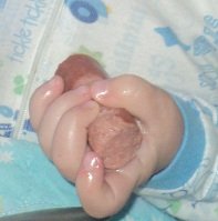 2012-03-11 - Hot Dog