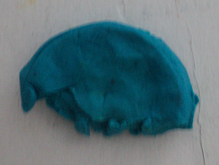 2012-03-18 - Play Doh Caterpillar