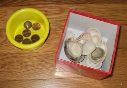 2012-06-07 - Organizing Coins And Shells