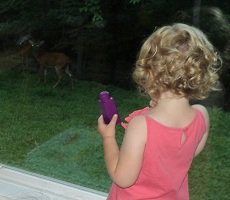 2012-06-13 - Katie Sees A Deer