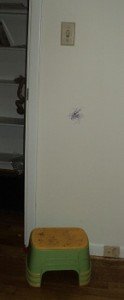 2012-07-18 - Stepping Stool