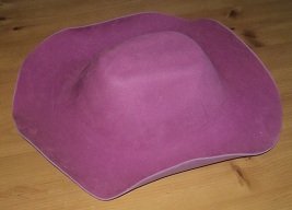 2012-09-27 - Cowgirl Hat