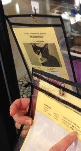 2013-11-14 - Peppo & Billie