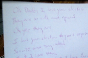 2014-07-14 - The Chicken Song