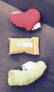 2015-01-02 - Catnip Toys
