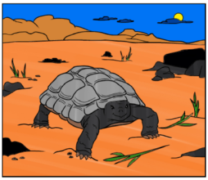 2015-08-03 - Online Drawing