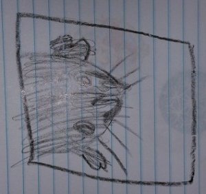 2015-09-13 - Katie's Seal