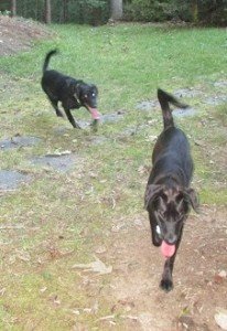 2015-09-14 - Zoey & Charlotte