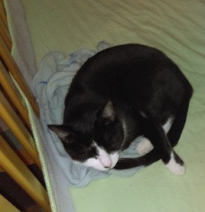 2015-11-16 - Batman In The Crib