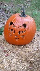 2016-10-24-cat-pumpkin