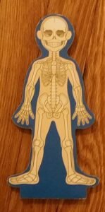 2017-07-19 - Skeleton