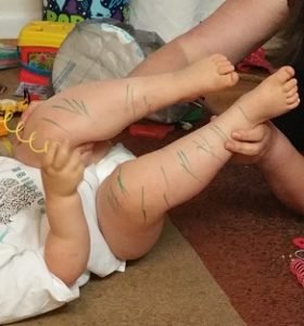 2017-08-02 - Tiger Legs