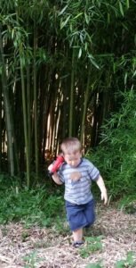 2018-06-13 - Bamboo Bobby