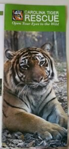 2018-06-22 - Tiger Rescue Camp