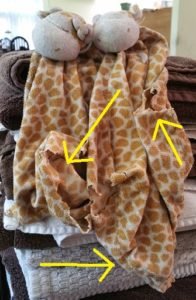 2018-08-23 - Giraffe