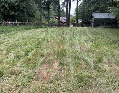 2026-06-08 - First Cut